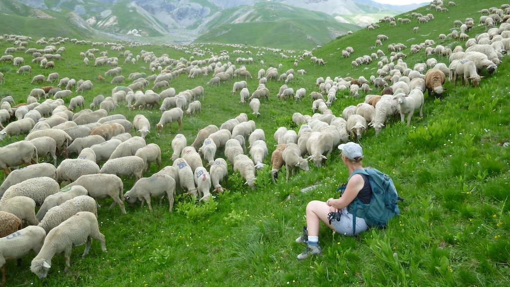 La Petite Etoile D'Hotes En Mercantour Saint-Dalmas-le-Selvage Eksteriør bilde